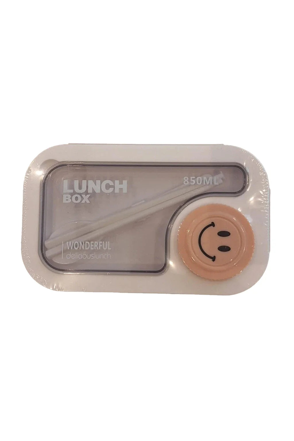 Lunch Box Wonderful Delicious Lunch