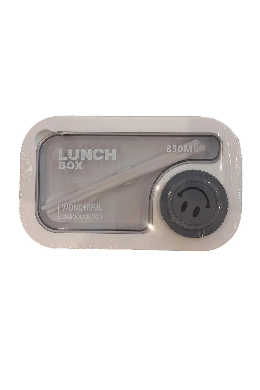Lunch Box Wonderful Delicious Lunch