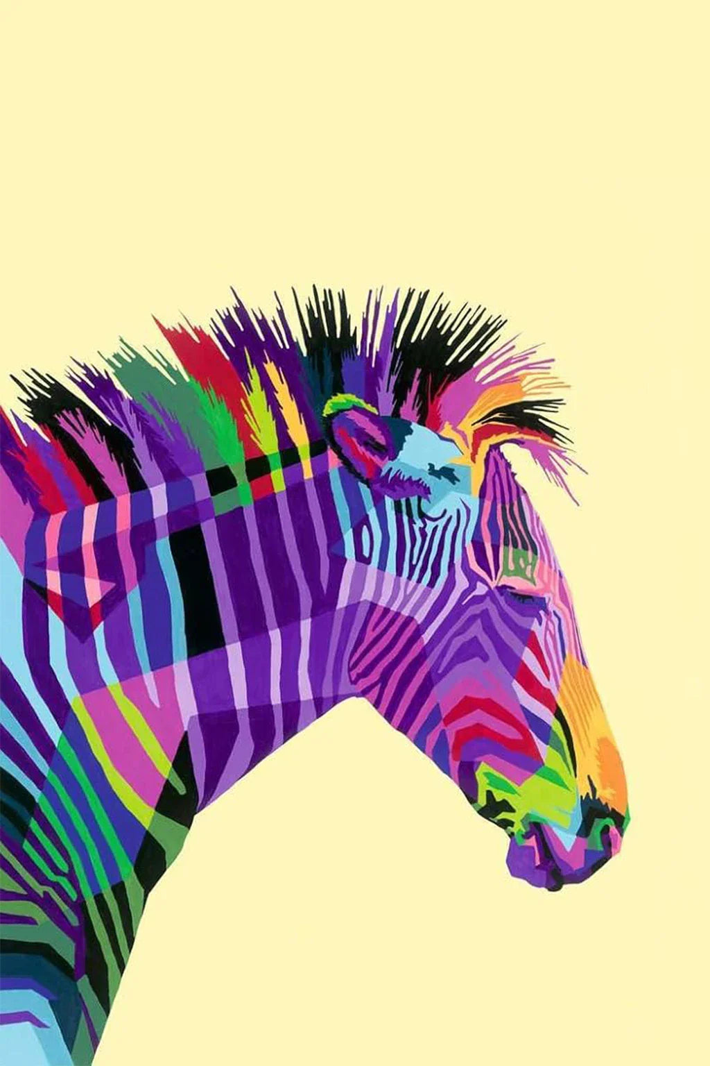 Ceart Zebra Toy